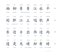Chinese Text with Pinyin